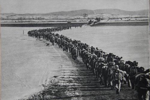 第九兵团长津湖战役伤亡殆尽，英勇牺牲与永恒荣耀，第九兵团长津湖战役伤亡惨重，英勇牺牲铸就永恒荣耀