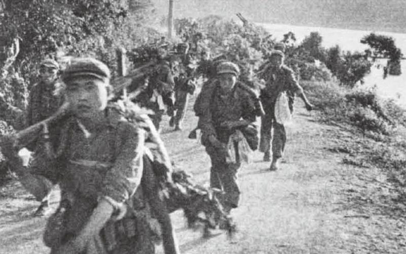 铁血女兵停更，遗憾中的期待与反思，铁血女兵停更，期待与反思的交汇点