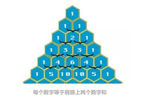 一肖中奖概率的算法解析，一肖中奖概率算法深度解析