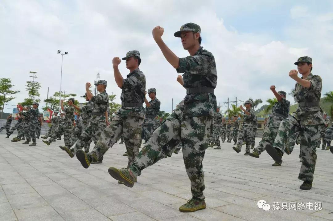 藤县人民武装部官网，新时代武装力量的窗口与桥梁，藤县人民武装部官网，新时代武装力量的信息与桥梁