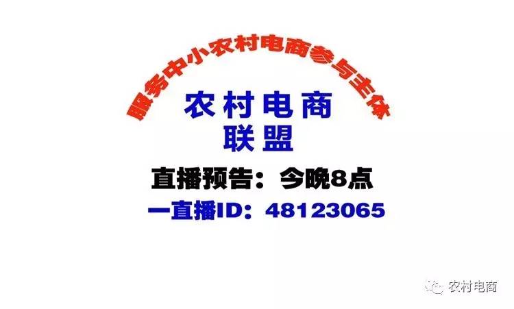 今日关注最新一期免费观看，新闻热点与娱乐资讯的完美结合，今日关注最新一期，新闻热点与娱乐资讯的完美融合，免费观看！