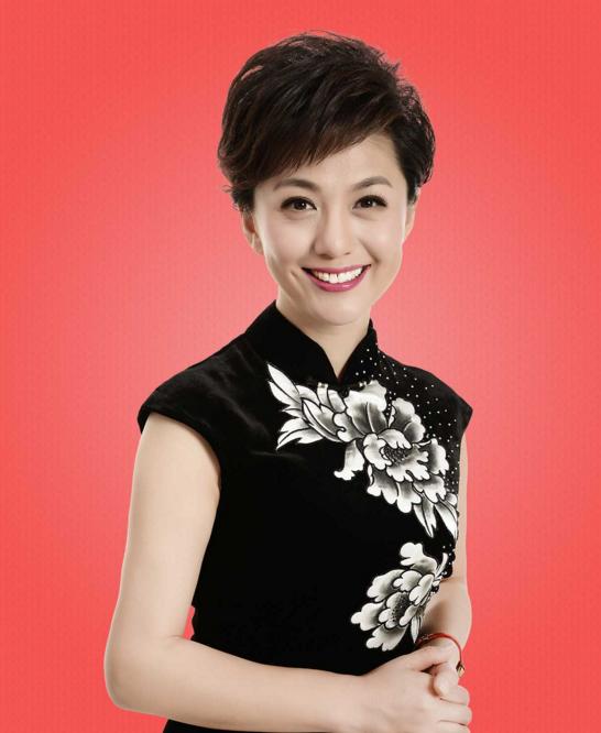 央视最漂亮的女主持人——一位闪耀的传媒之星，央视最美女主持人，闪耀的传媒之星传奇