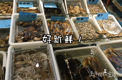 手工战斗机折纸艺术，一步步教你如何折纸战斗机，手工折纸战斗机教程，一步步学习折纸战斗机的艺术技巧