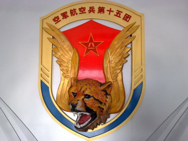 空军徽章,荣耀的象征与力量的展现,空军徽章,荣耀与力量的象征