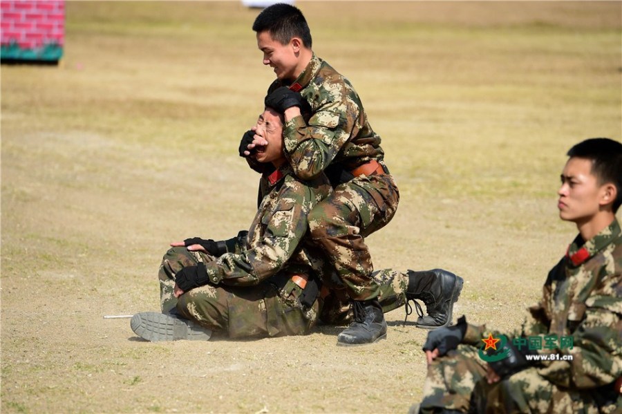 中国特种兵格斗术,传统与现代的完美结合,中国特种兵格斗术,传统与现代的完美融合之道